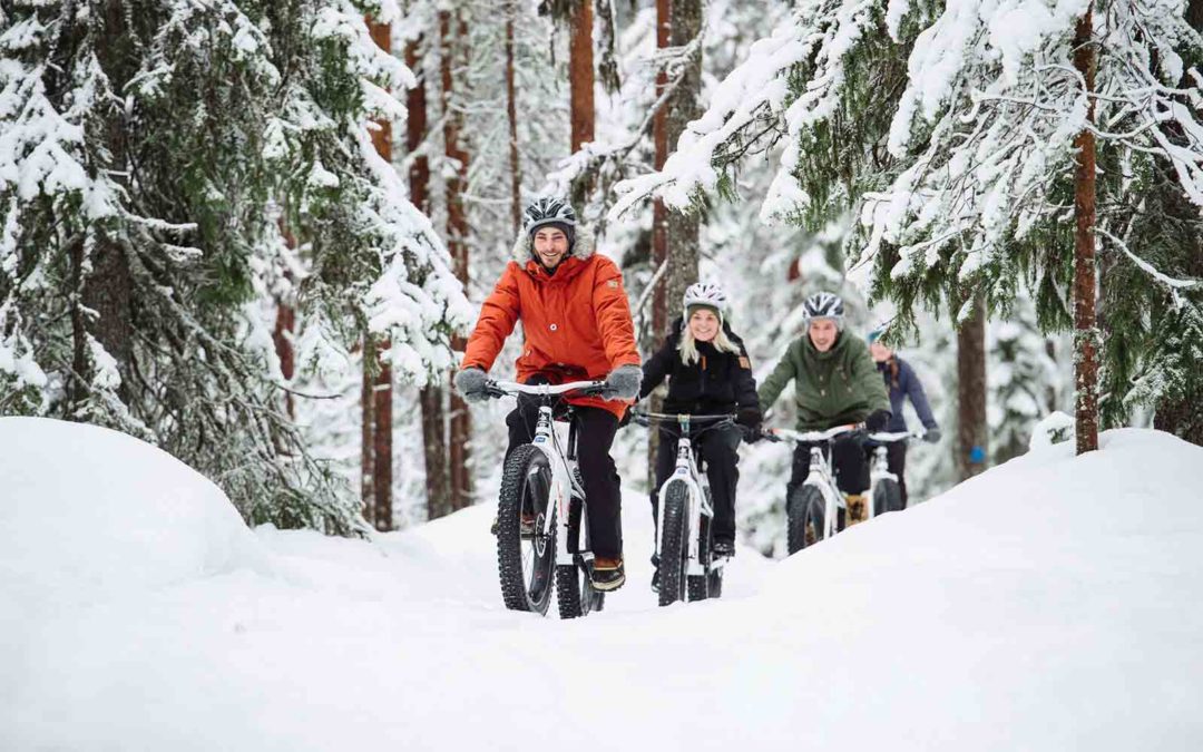 Winter fatbike tours and rental