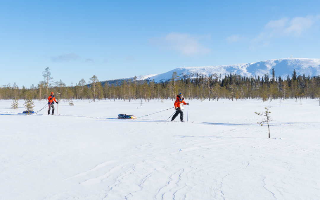 4 Days 3 Nights Arctic Challenge in Pyhä-Luosto National Park