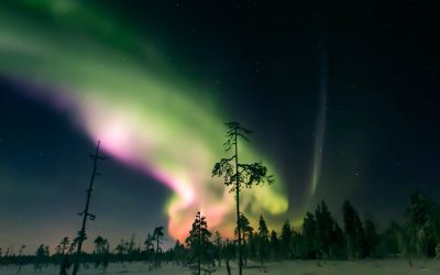 The 7 Best Things to Do in Lapland in Winter