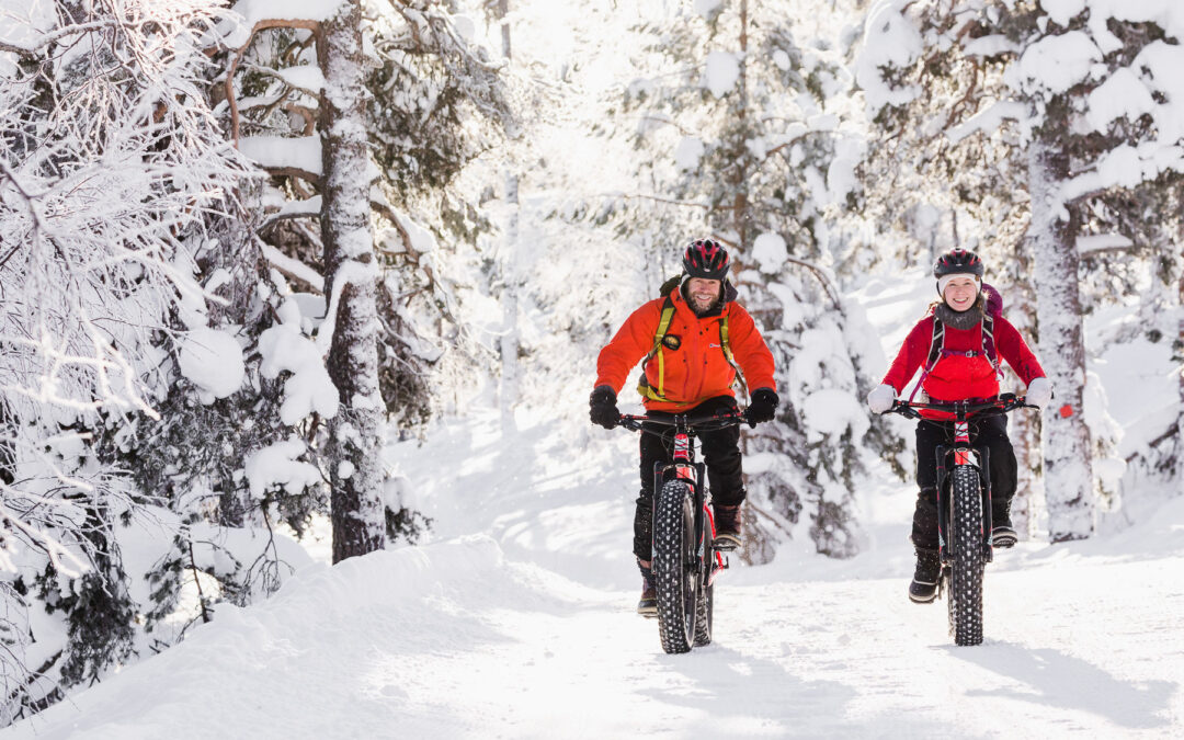 Electric Fatbike Tour to Pyhä-Luosto National Park