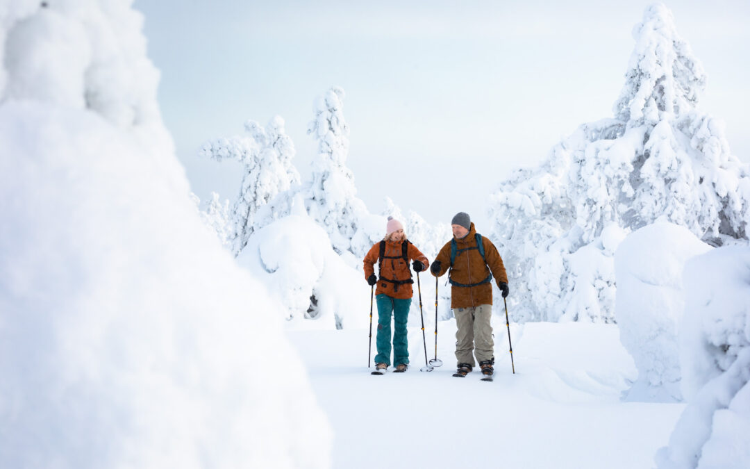 Premium Wilderness Skiing in Pyhä-Luosto National Park