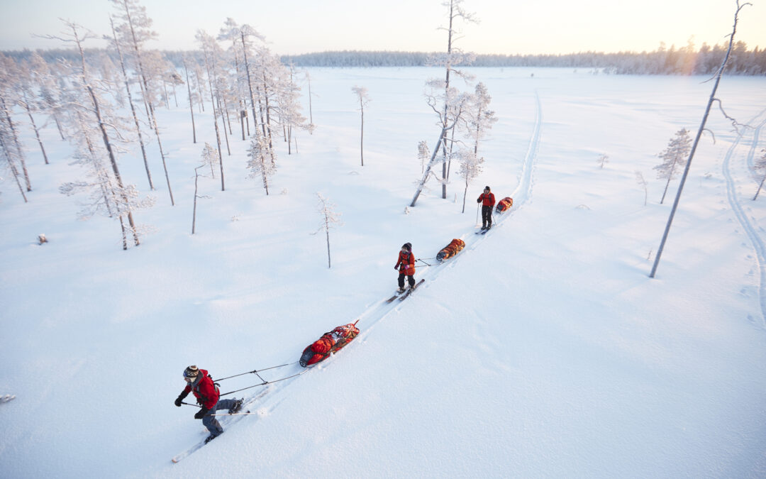 Expedition Pulk Rental in Pyhä Lapland – 1 day, 3 or 5 days