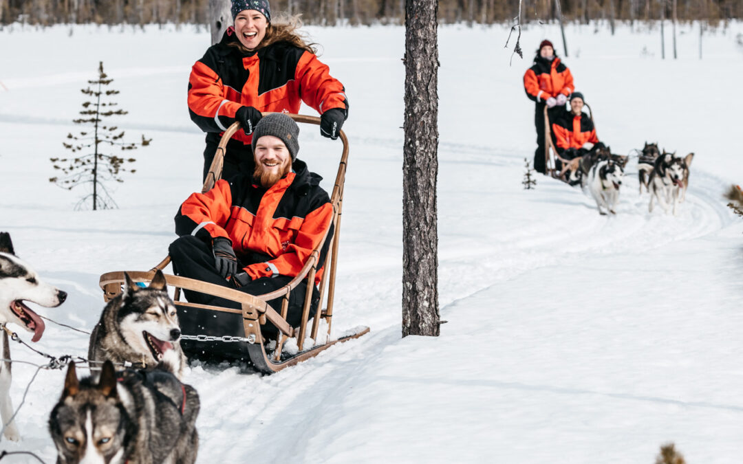 HUSKY ADVENTURE (30 KM), Luosto