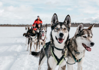 Husky & Reindeer Adventures