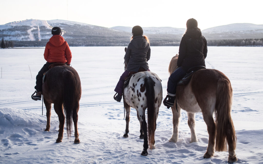 A small group horseback riding tour in the snow