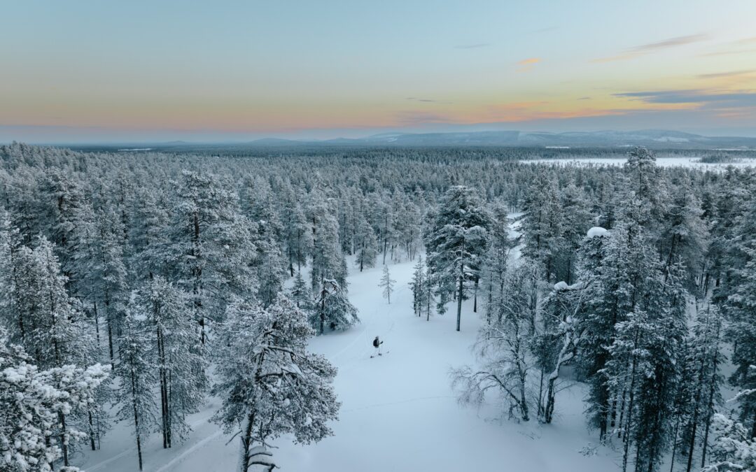 Classic Wilderness Skiing in Pyhä-Luosto National Park