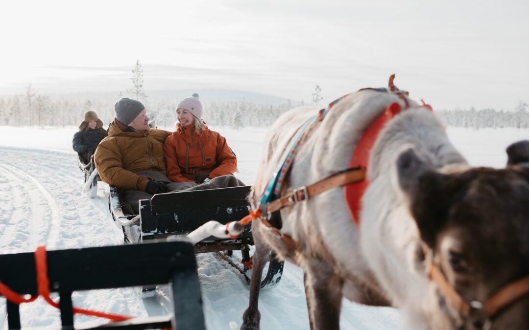 Reindeer Safari 30 min & Guided Farm Visit