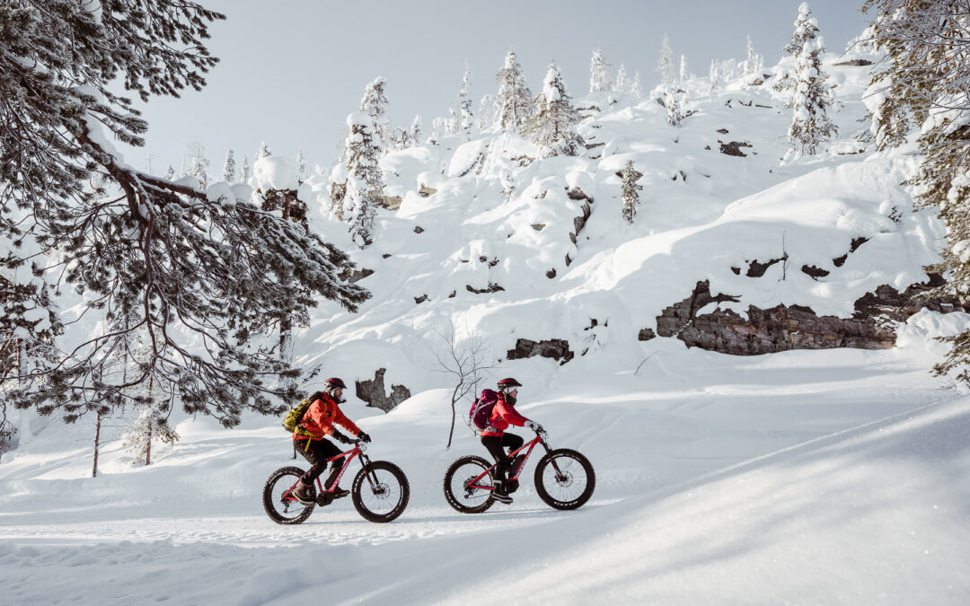 Electric Fatbike Tour to Pyhä-Luosto National Park – Private